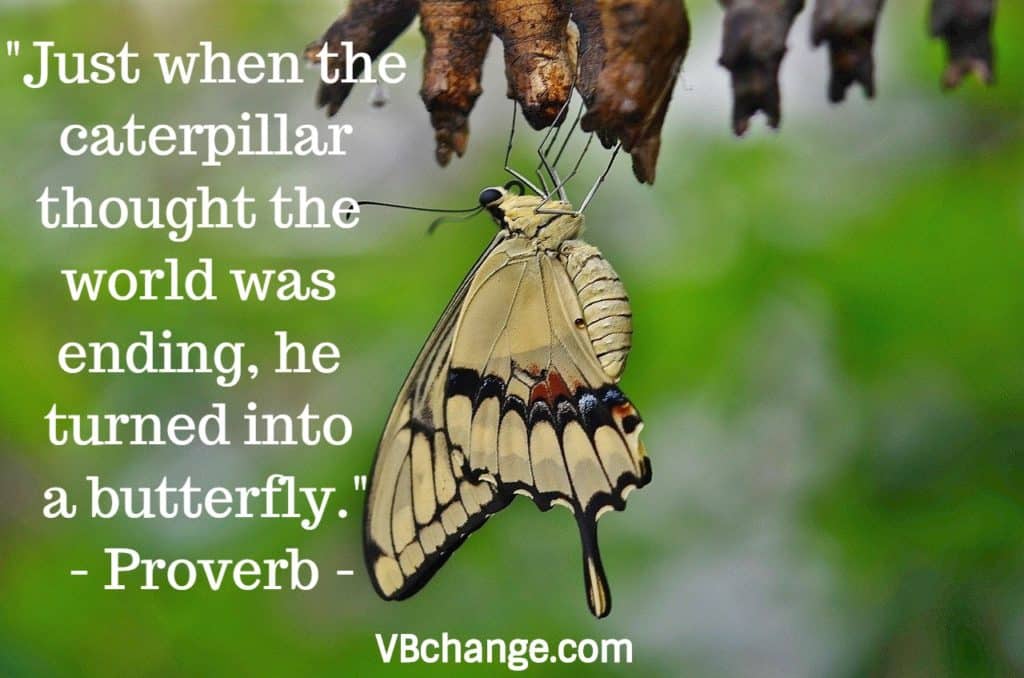 "Just when the caterpillar thought the world was ending, he turned into a butterfly." -Proverb