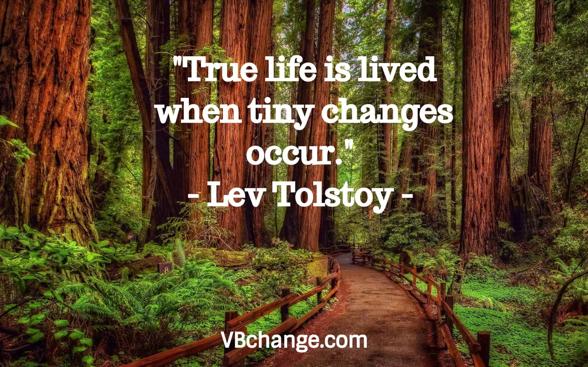 "True life is lived when tiny changes occur." 
