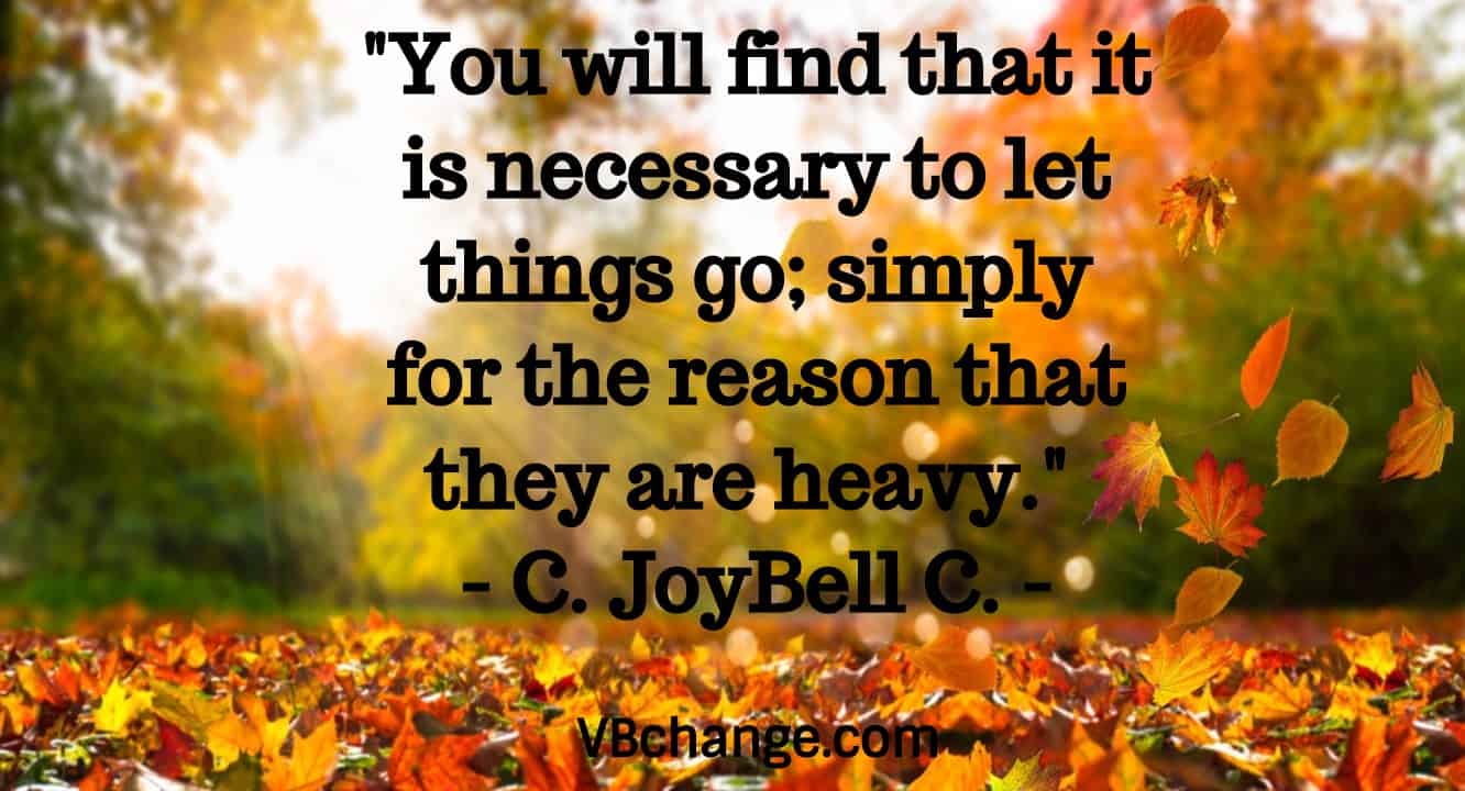 "You will find that it is necessary to let things go; simply for the reason that they are heavy." - C. JoyBell C.