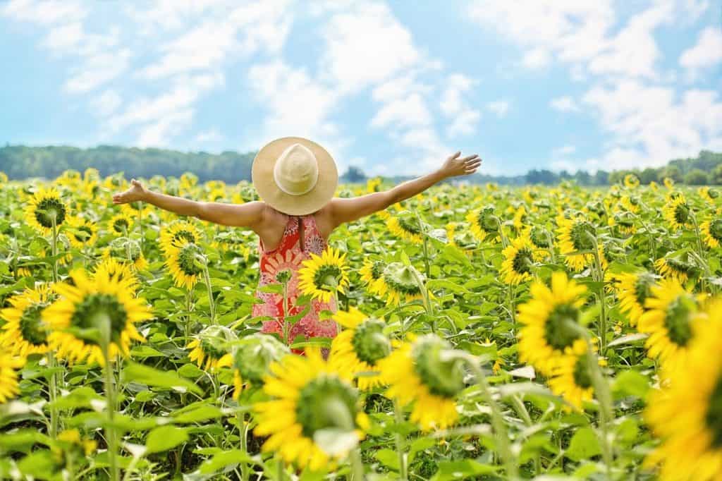 happy optimistic person in a field of sunflowers