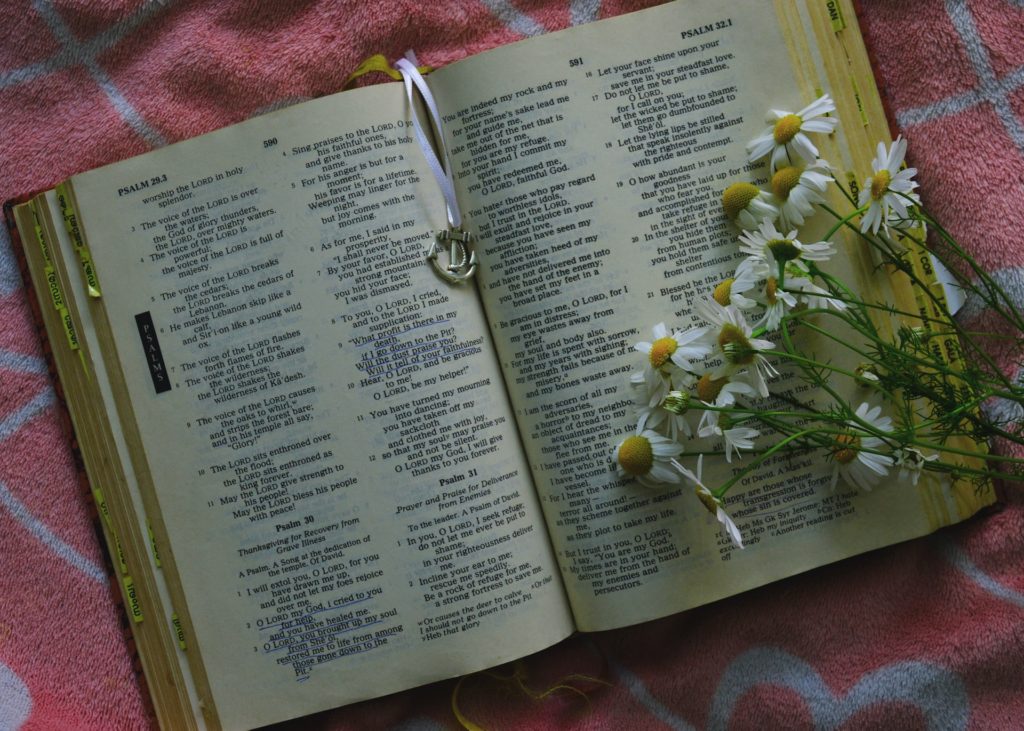 Feminine flowers lay on a spiritual book that opens a door to a different reality